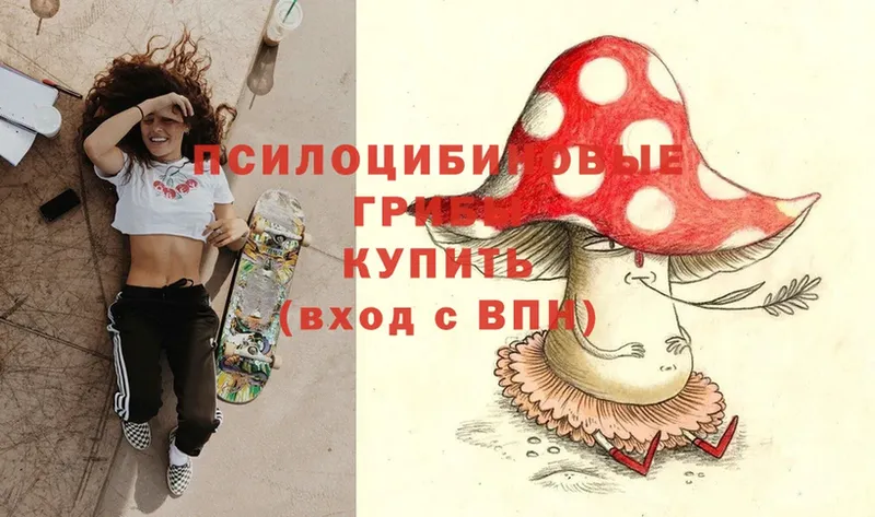 что такое   Лесосибирск  Галлюциногенные грибы Psilocybine cubensis 